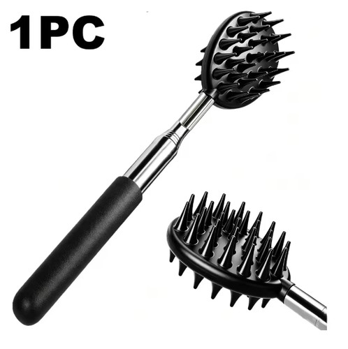 Extendable cactus back - cactus,