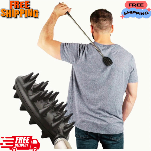 Extendable cactus back - cactus,